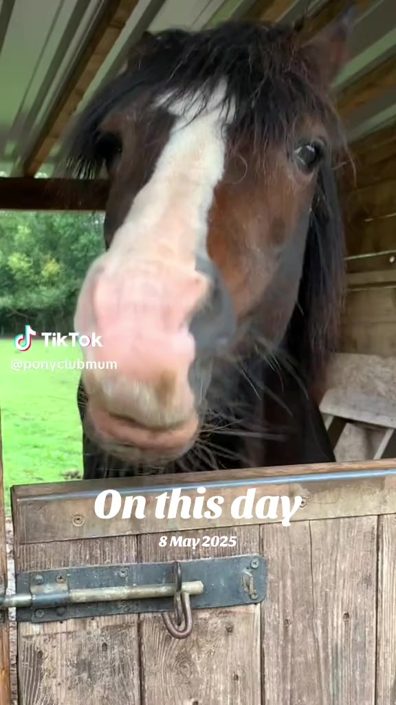 @🐮👑🏹 Mr BigGuy_OgBGCH