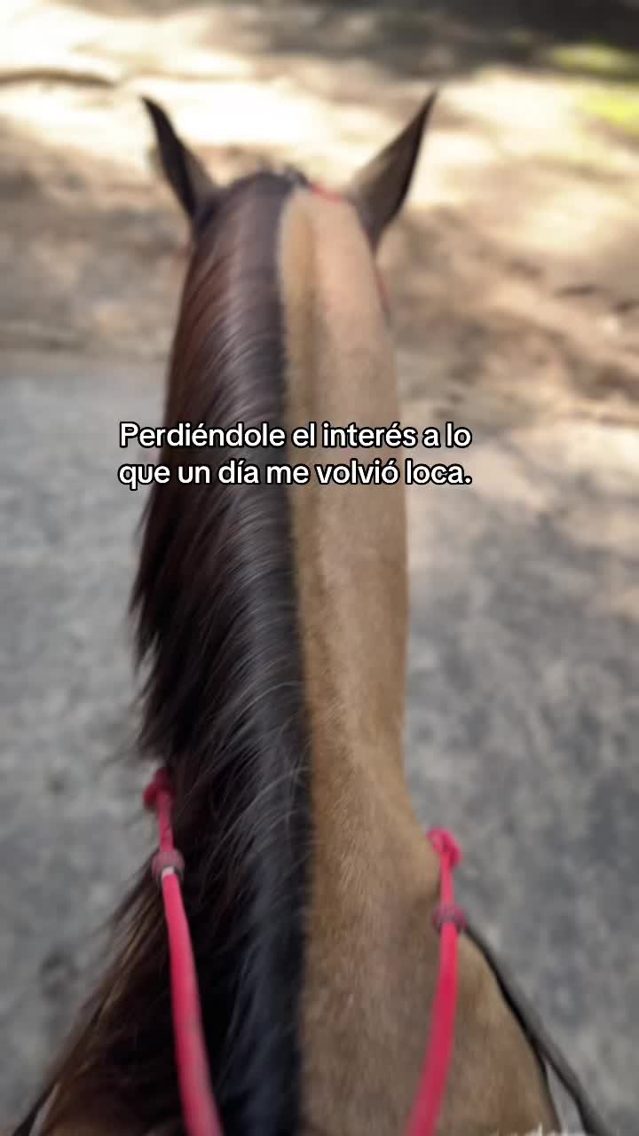 @..LEZTI..