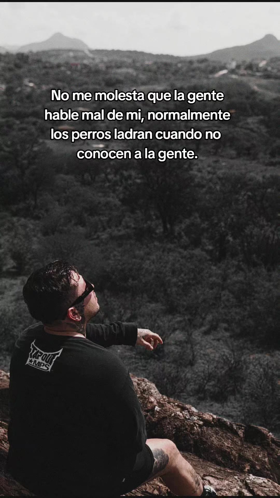 @Tavozdk