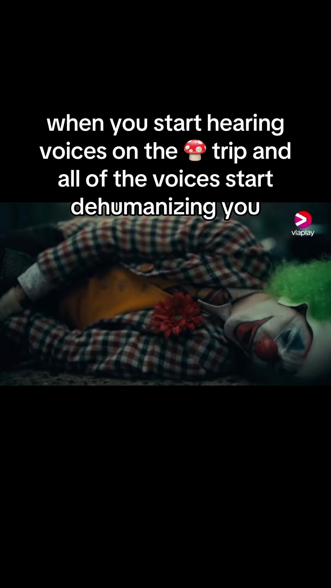 @alex