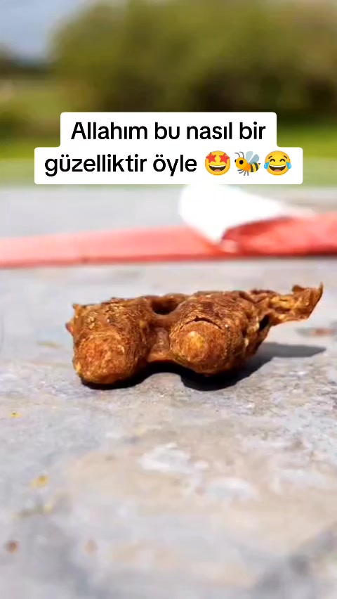 @Doğan Arıcılık 🐝