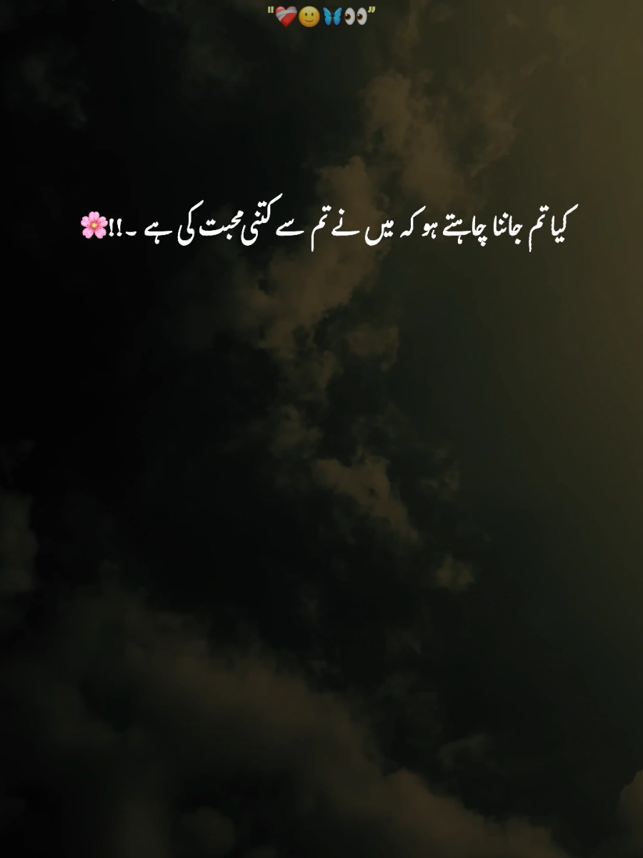 @-🕊️