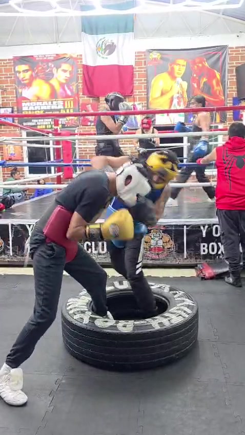 @Yonekura Boxing Club