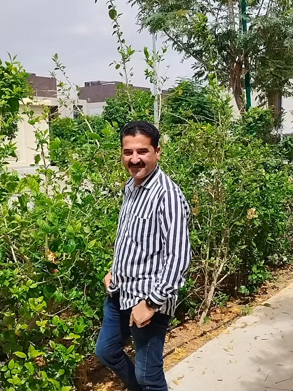 @Jaldeep Joshi