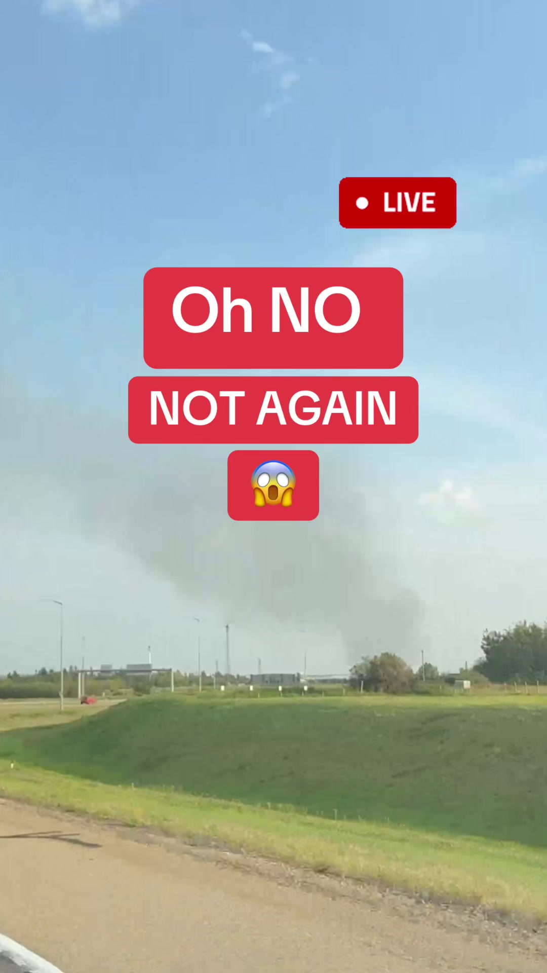 @Bad Driver Edmonton