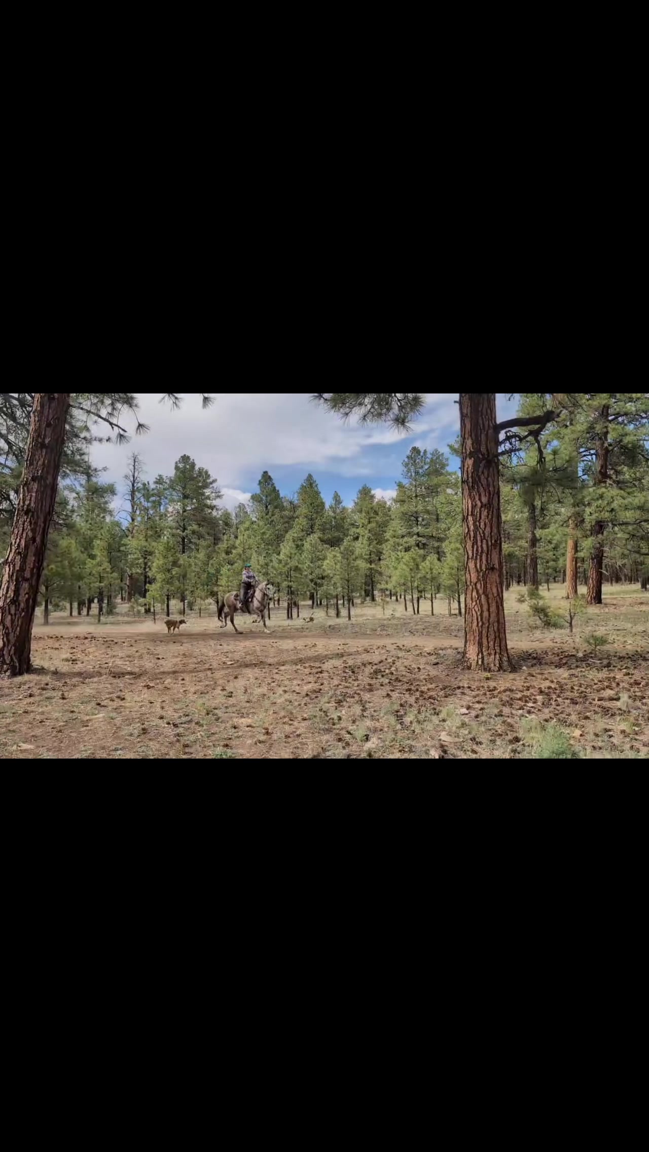 @Ridge Line Ranch