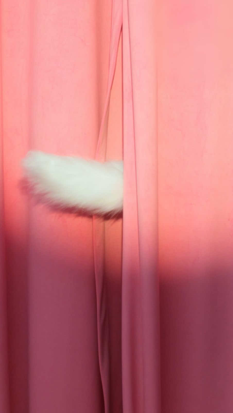 @Mona Monica Kattan🧸