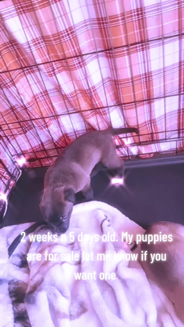 @Pepe Tautolo