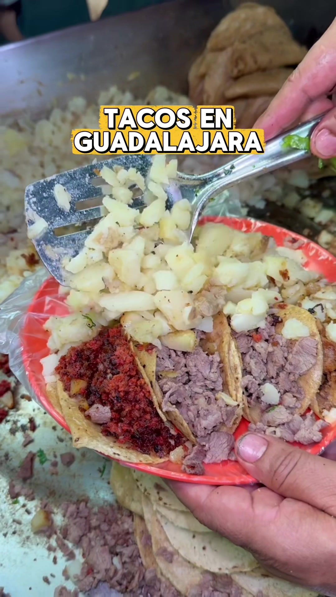@provechito.gdl