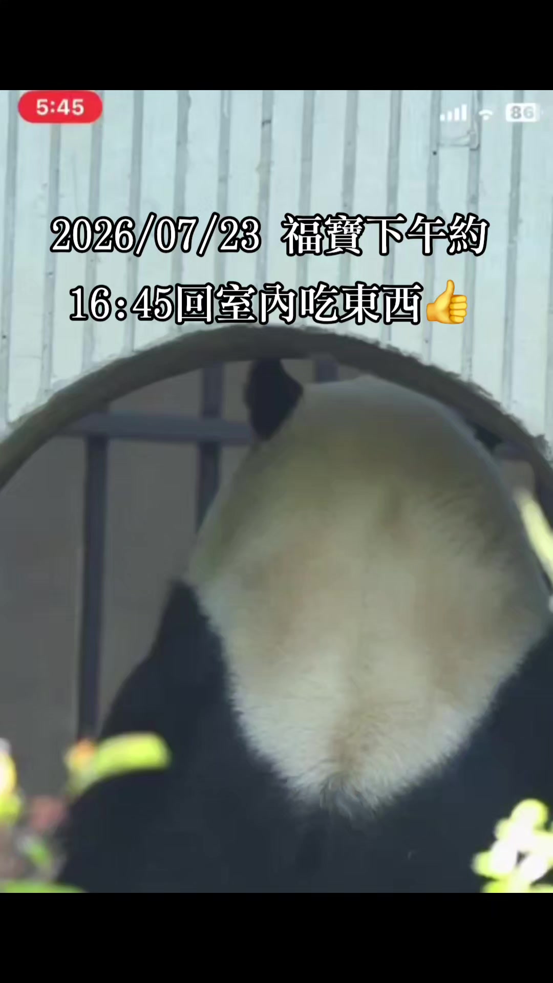 @福寶需要愛的抱抱