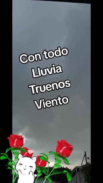 @damaris. mayorga5