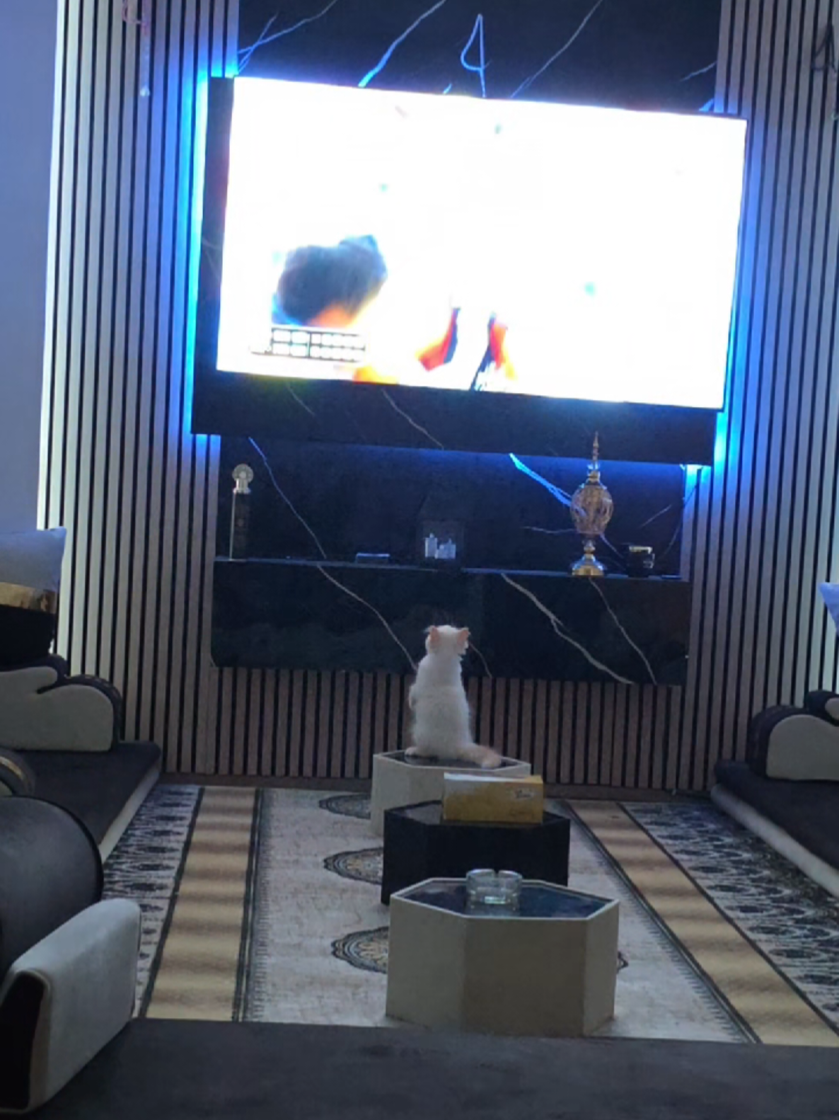 @صلوح المنبجي😌