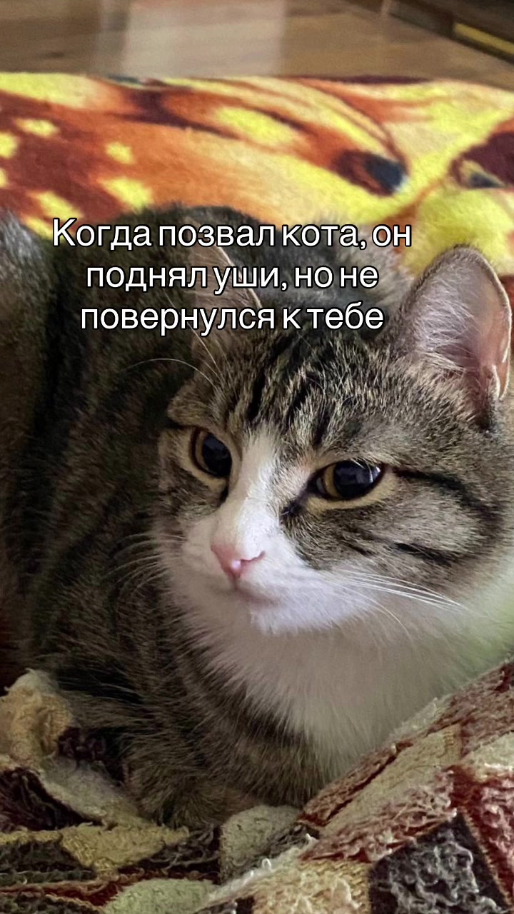 @Void_vel