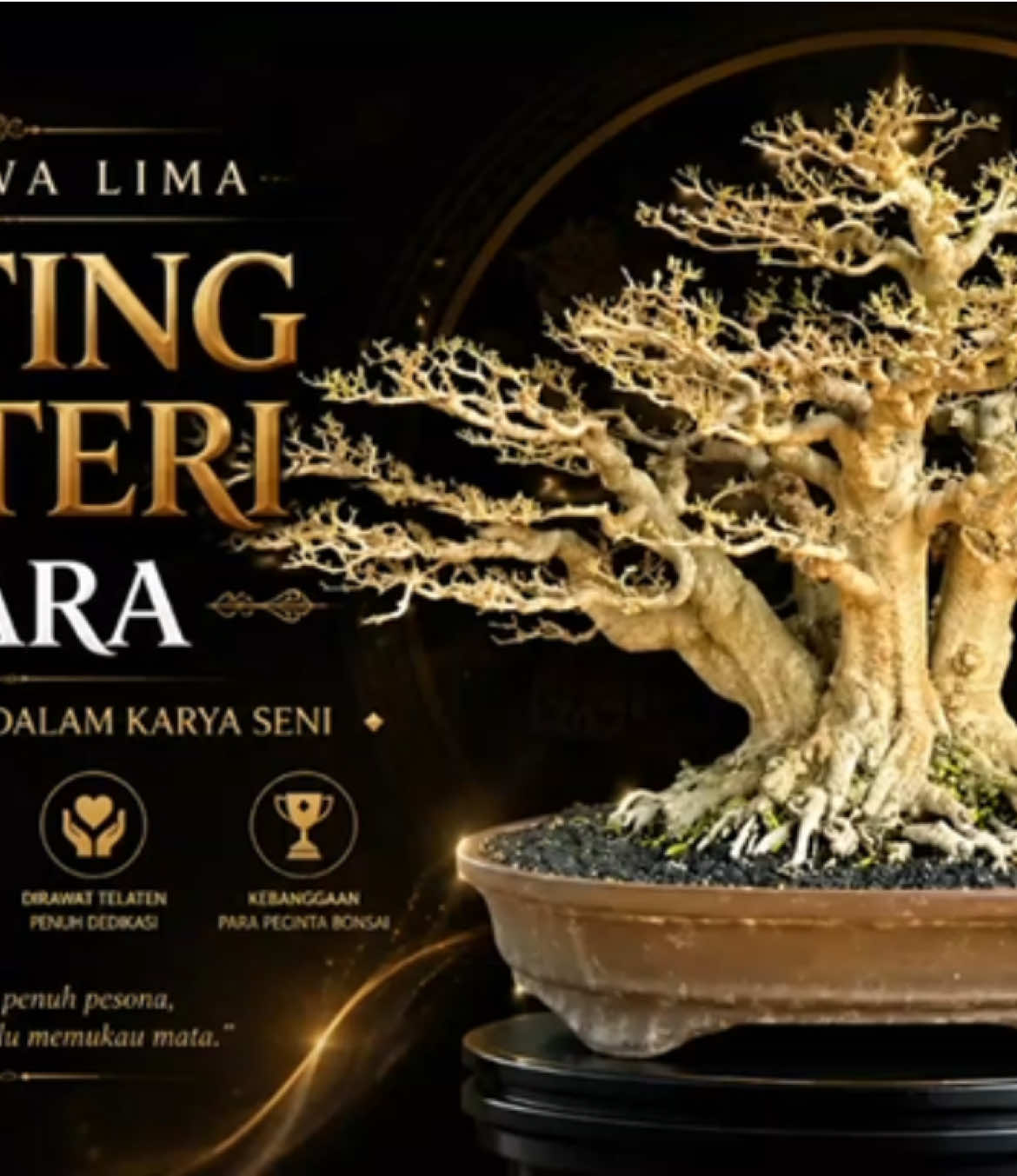 @warbonsai_purwodadi
