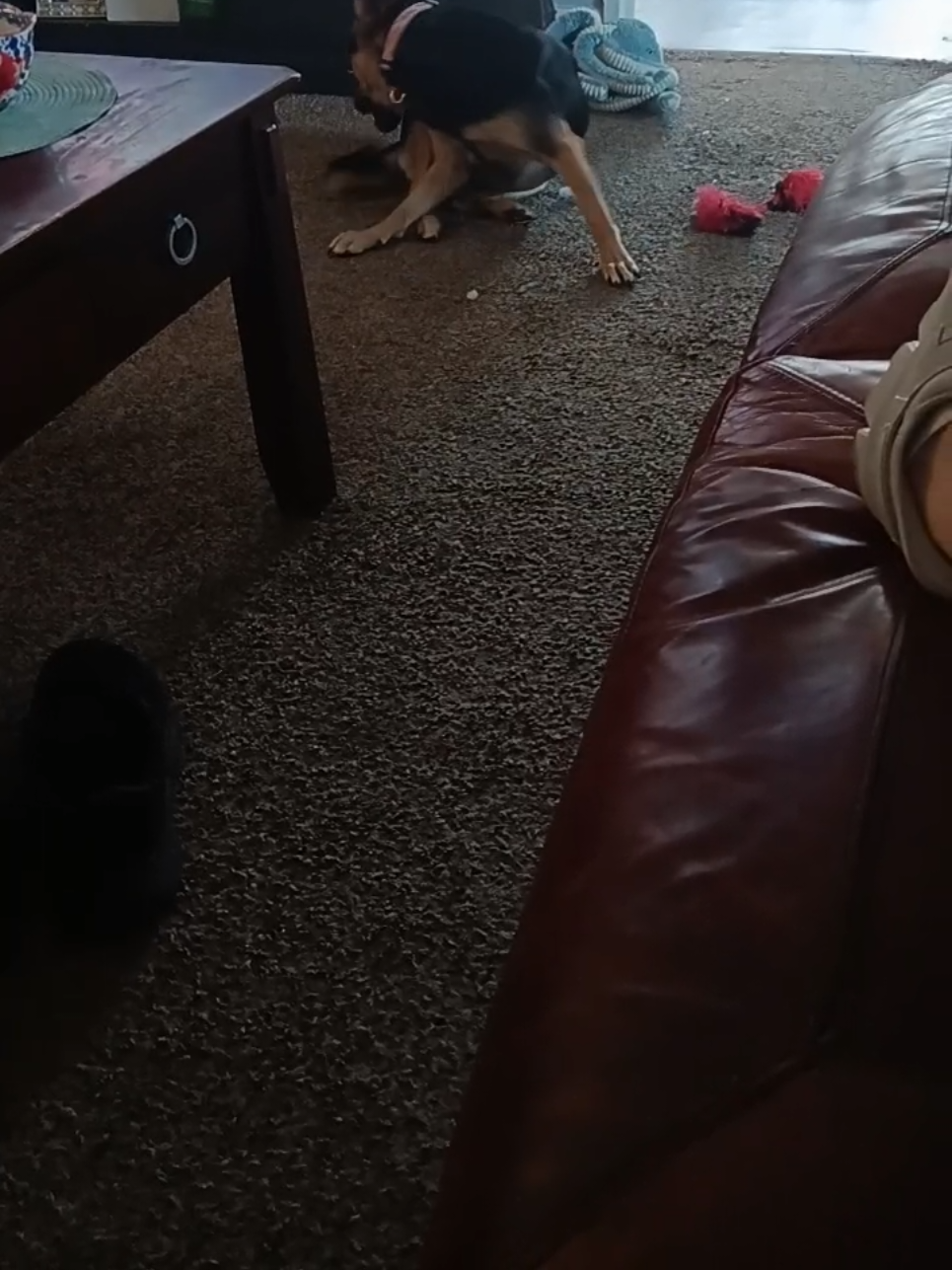 @Sketti