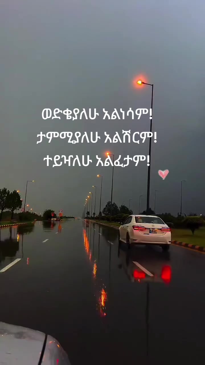 @zehara 🦋🦋🦋🦋