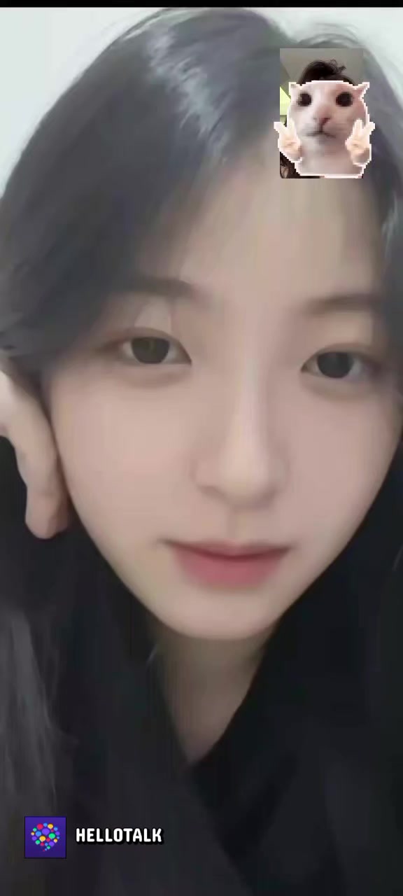 @什么:p