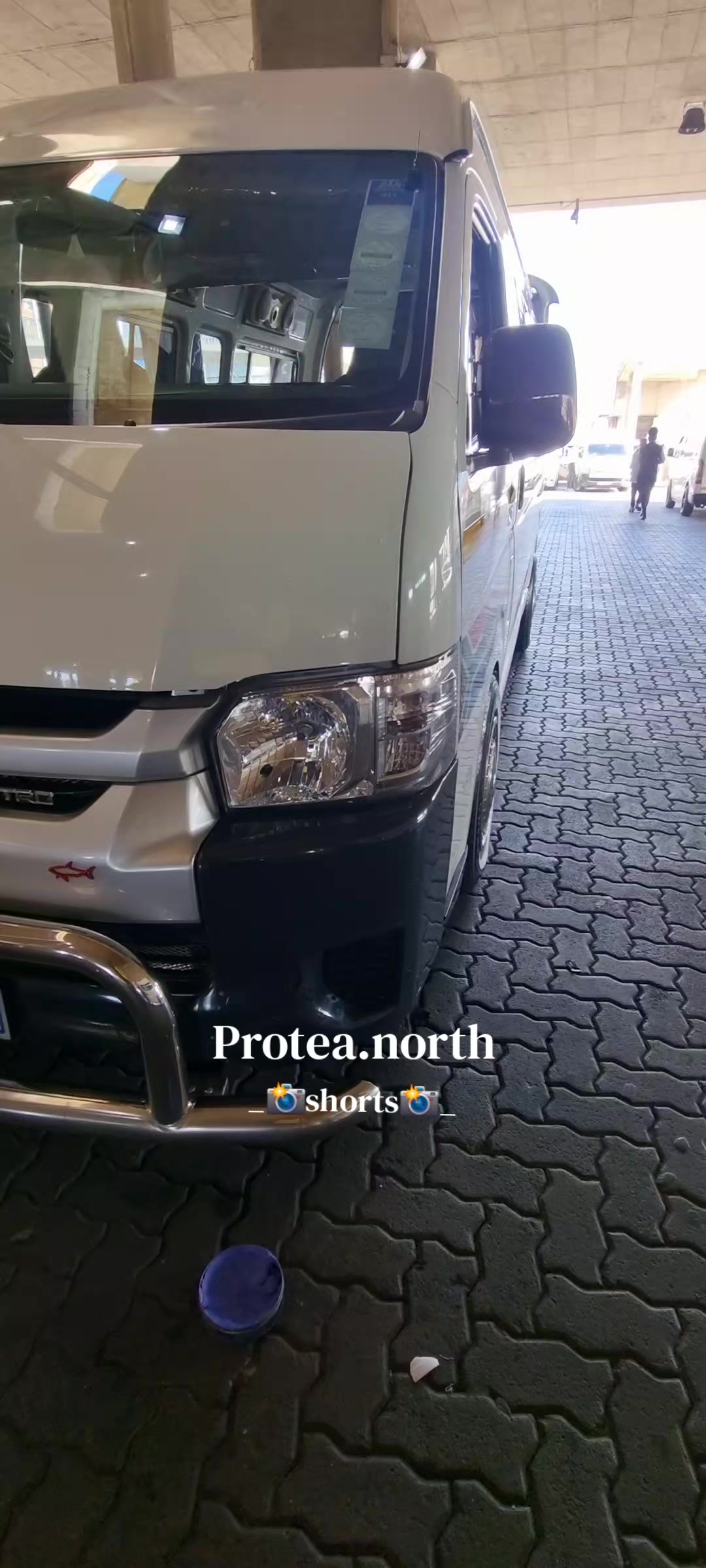 @Protea.north_shorts_