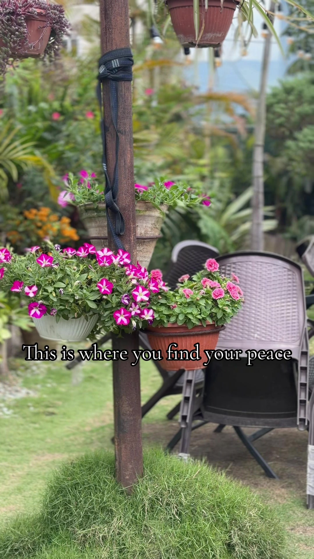 @Newprakritigarden