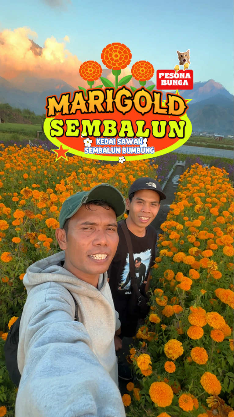 @Udin Sedunia Official