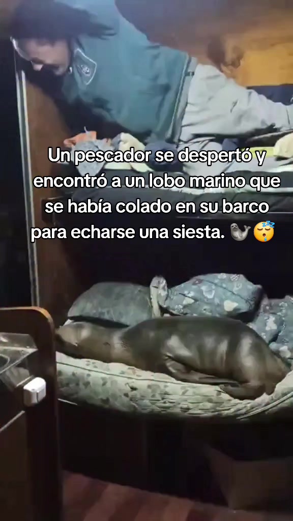 @Rosa Espinoza 🫶