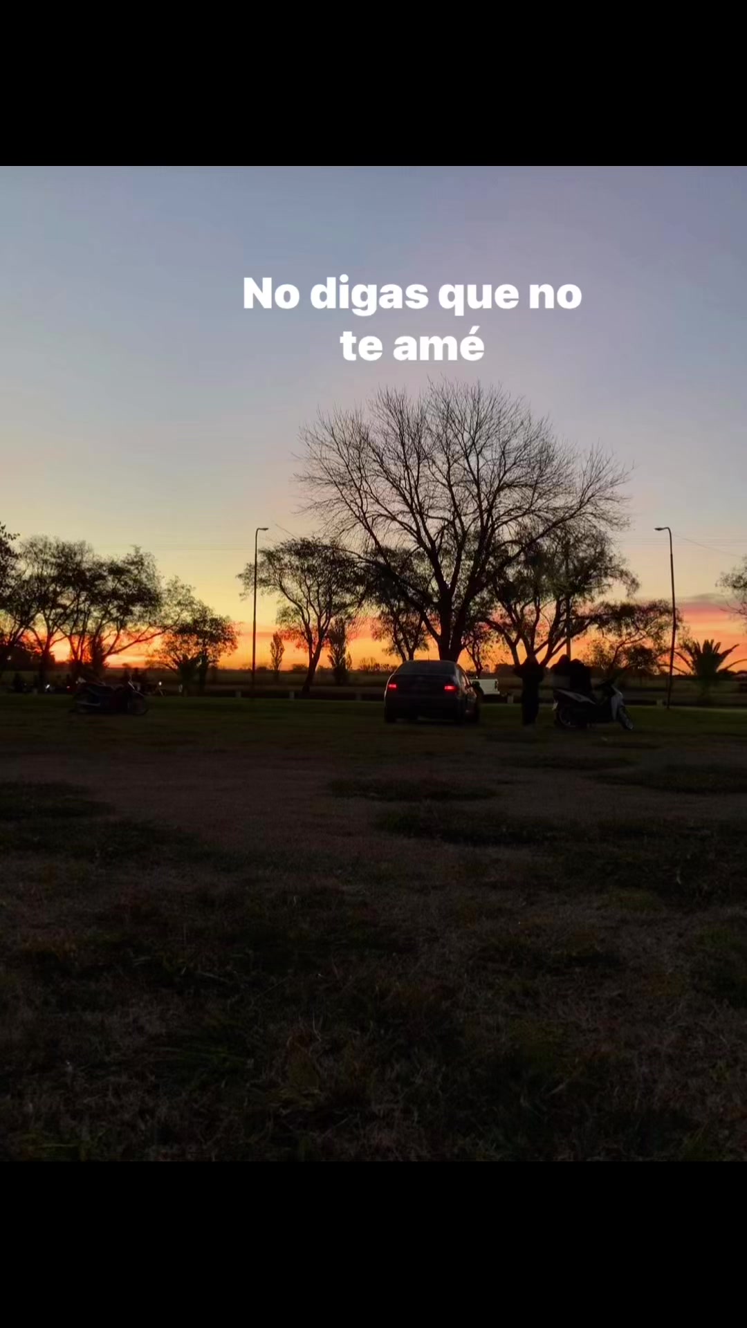 @andre🦋