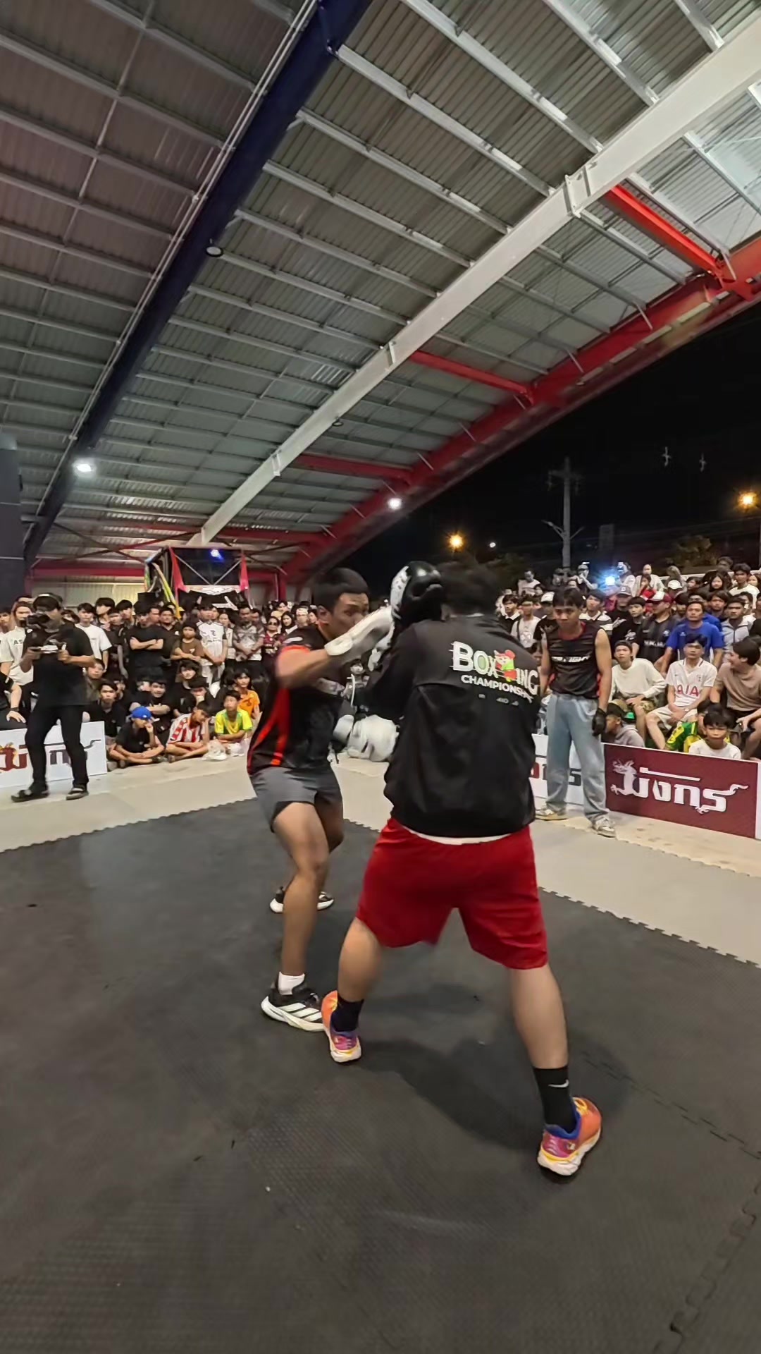 @Mr.Fight