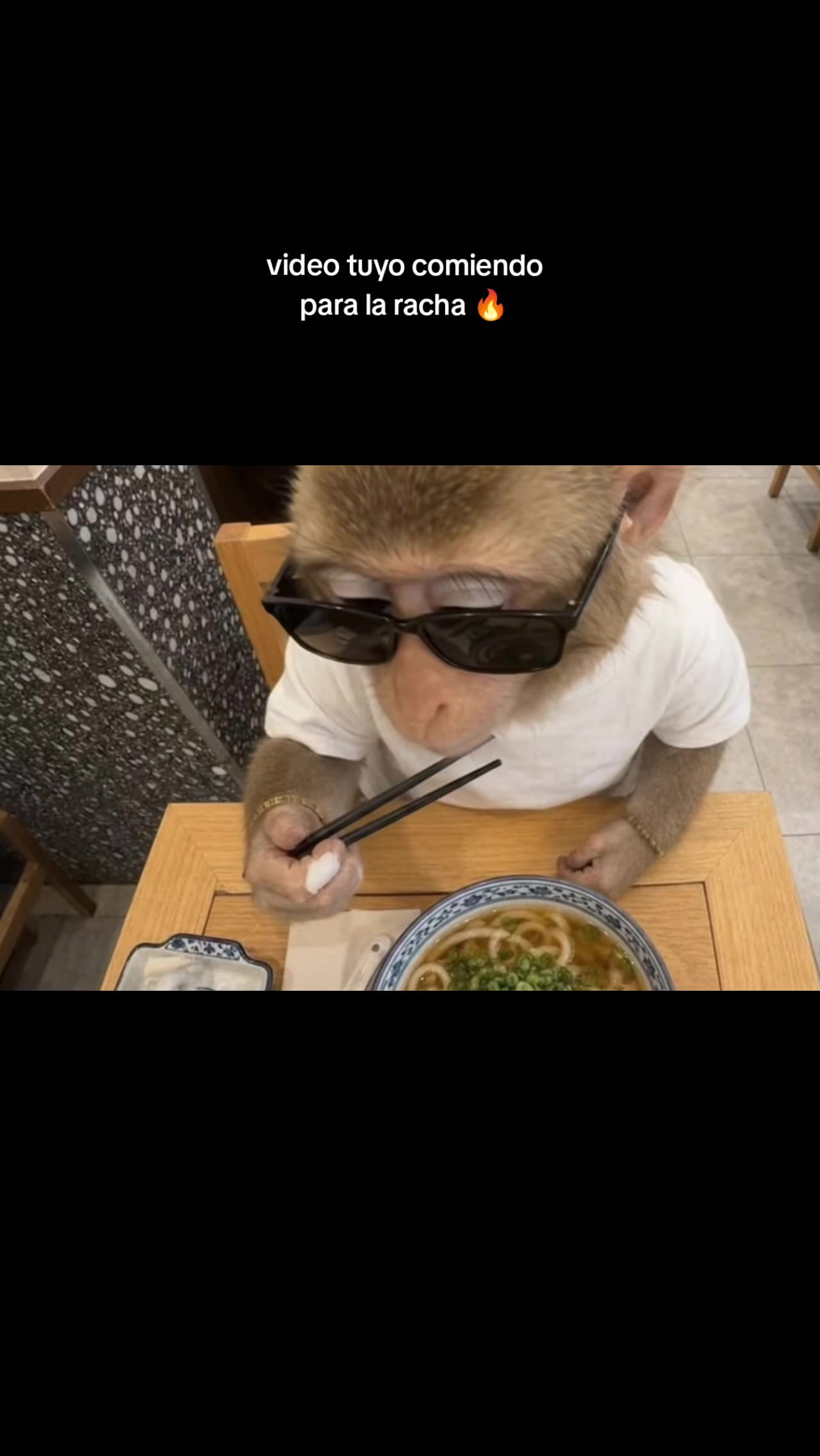 @RabPesito 🔥