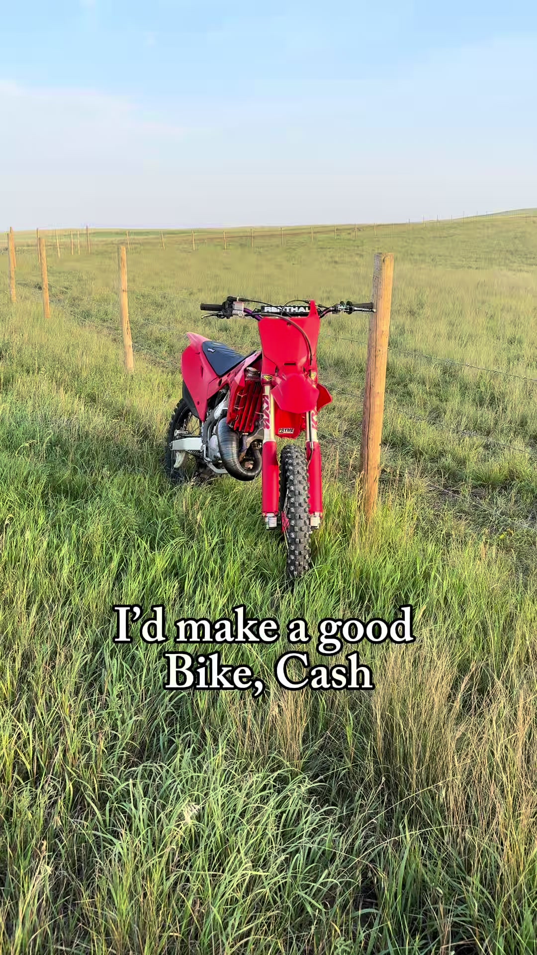 @𝓒𝓪𝓼𝓱 🇨🇦