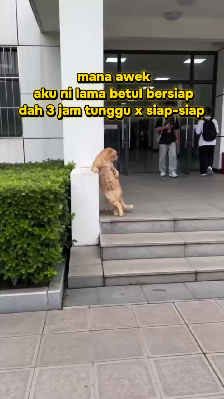 @izuanzainal