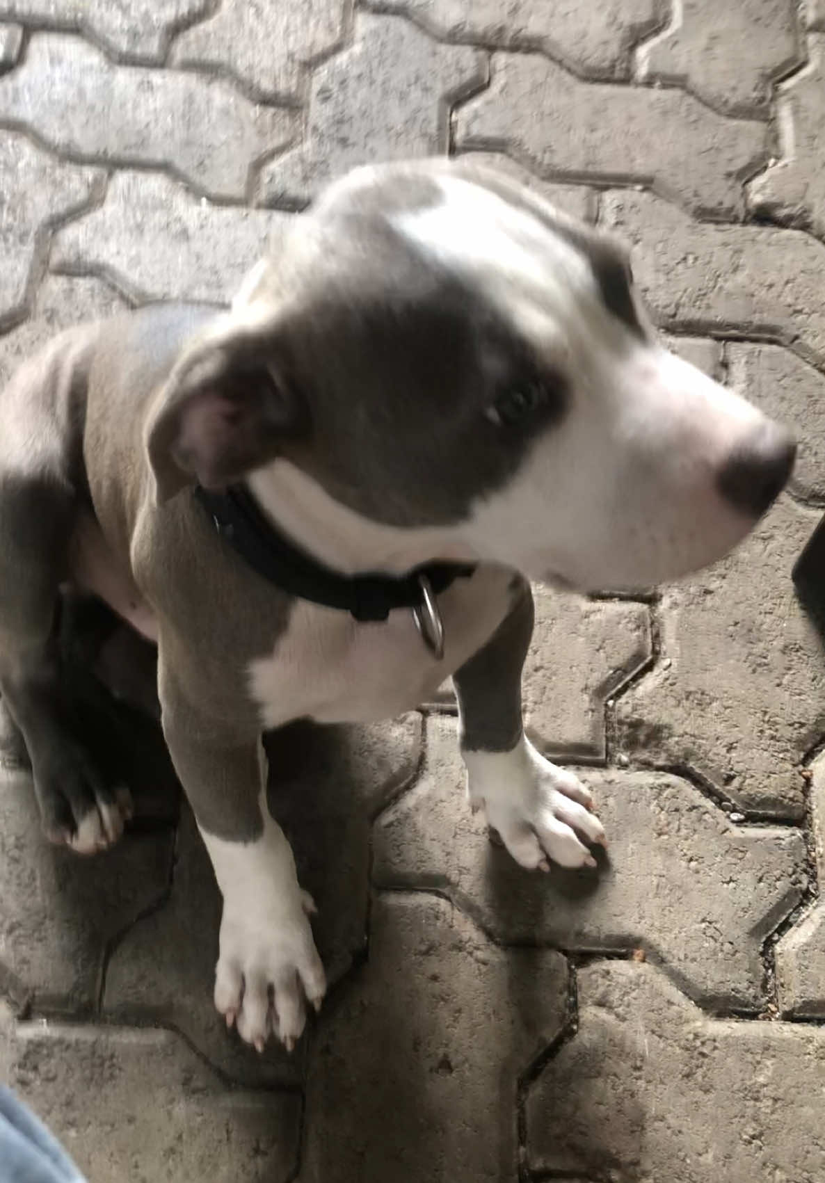 @KAUSHVNR