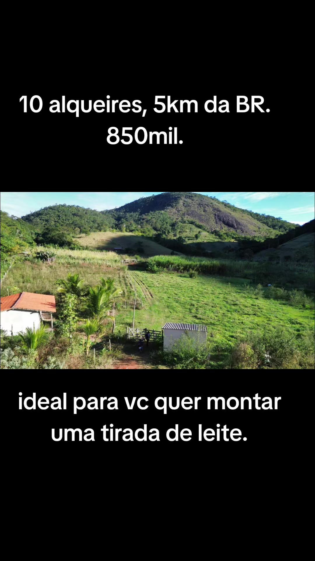 @O REI DAS FAZENDAS.