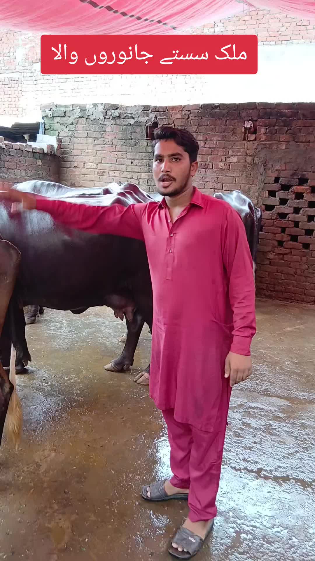 @Farming and Business Ideas