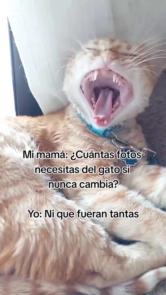 @Areli iero 🍭