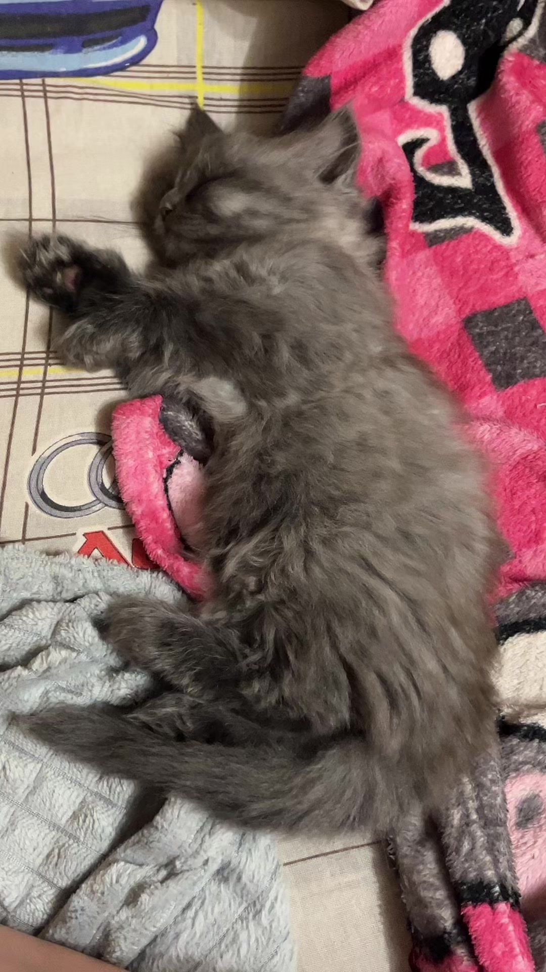 @хх