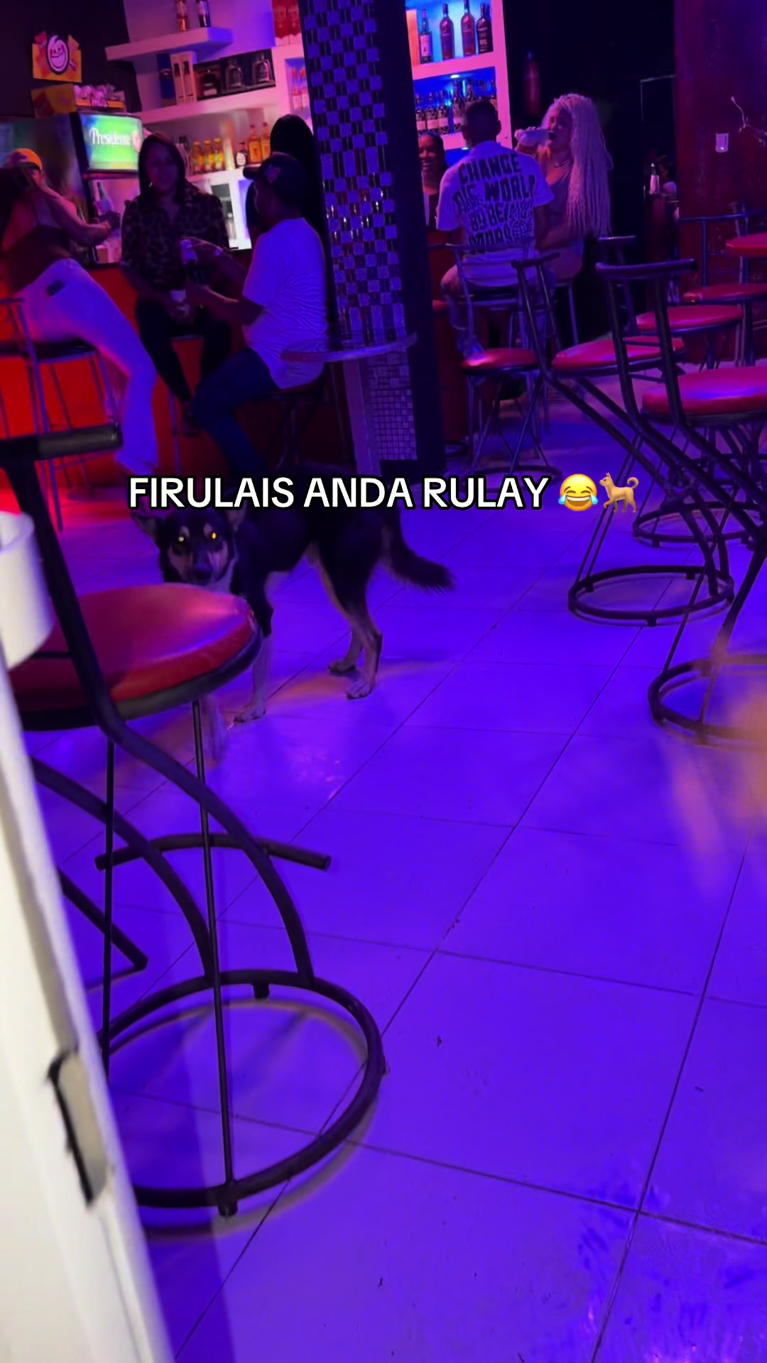 @El Pro 👁️