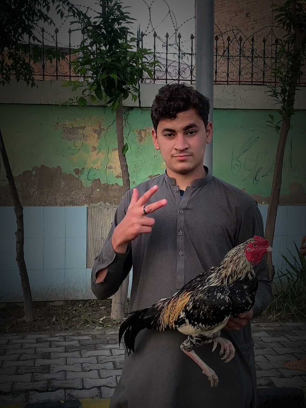 @کشرخان 804