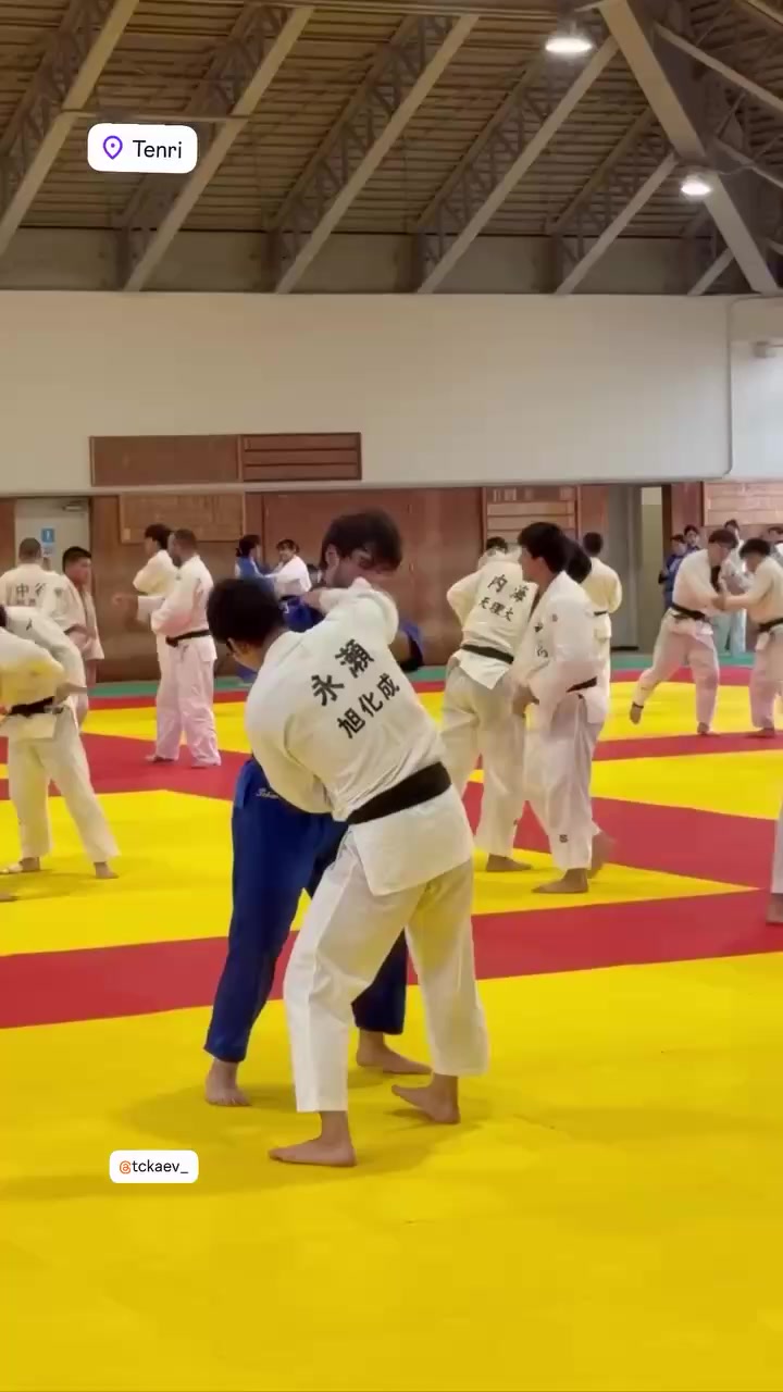 @mir_judo