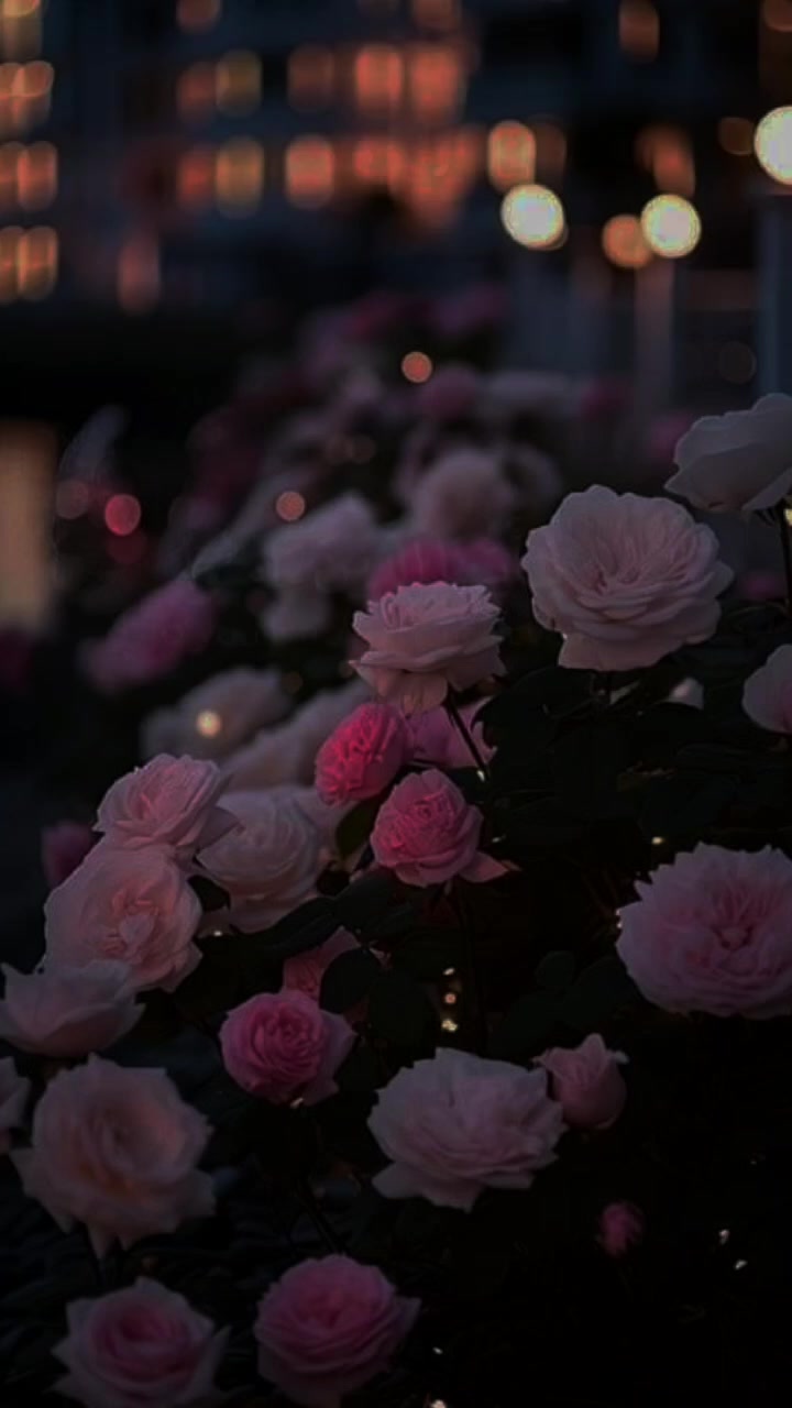 @🌼حياتي اجمل بذكر الله 🌼