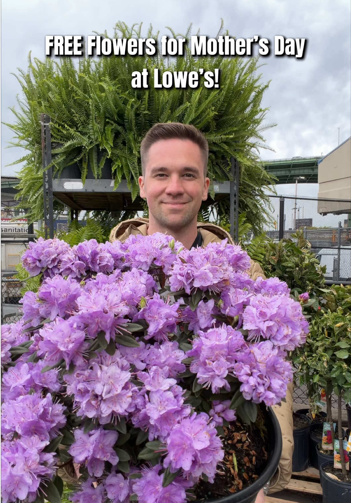 @jeffreyinnyc