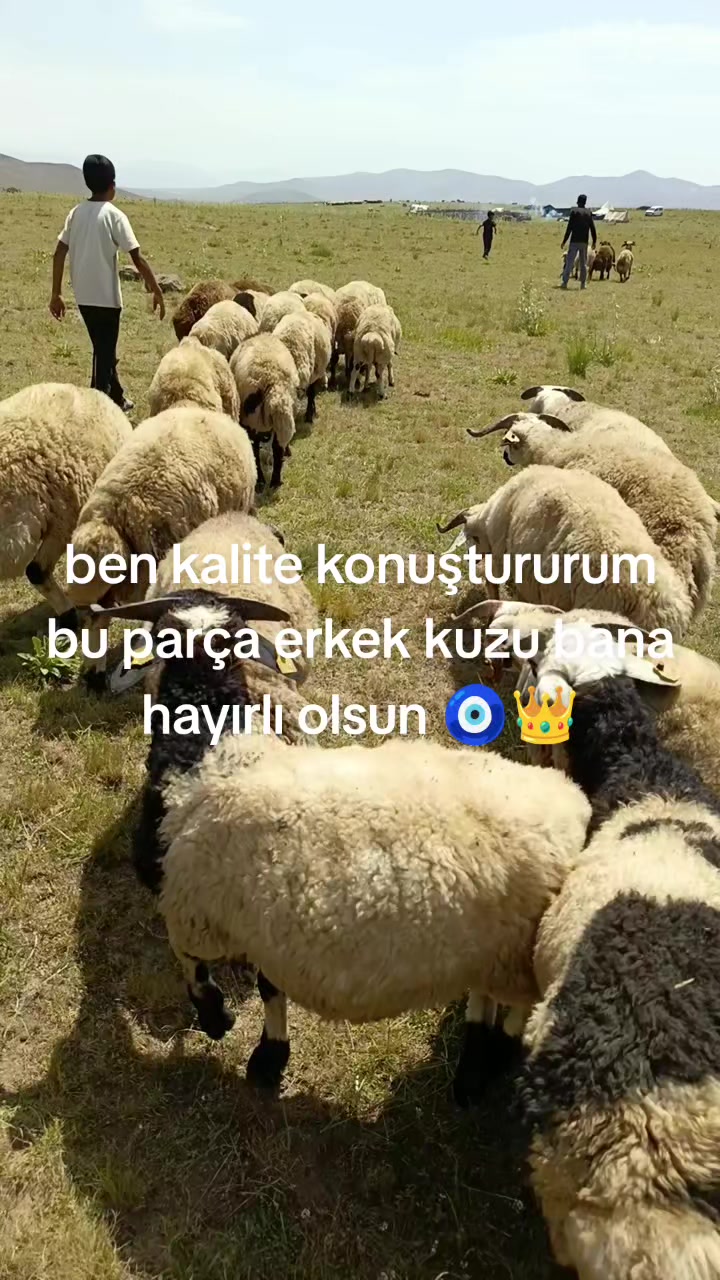 @NEVROZ KARATAY