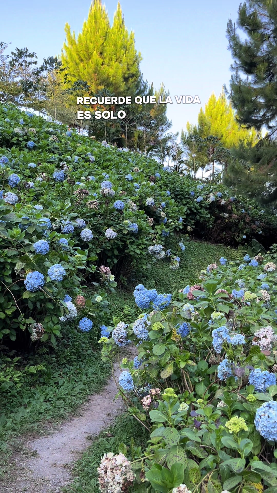 @🦋Silvanitha🌻🇵🇪