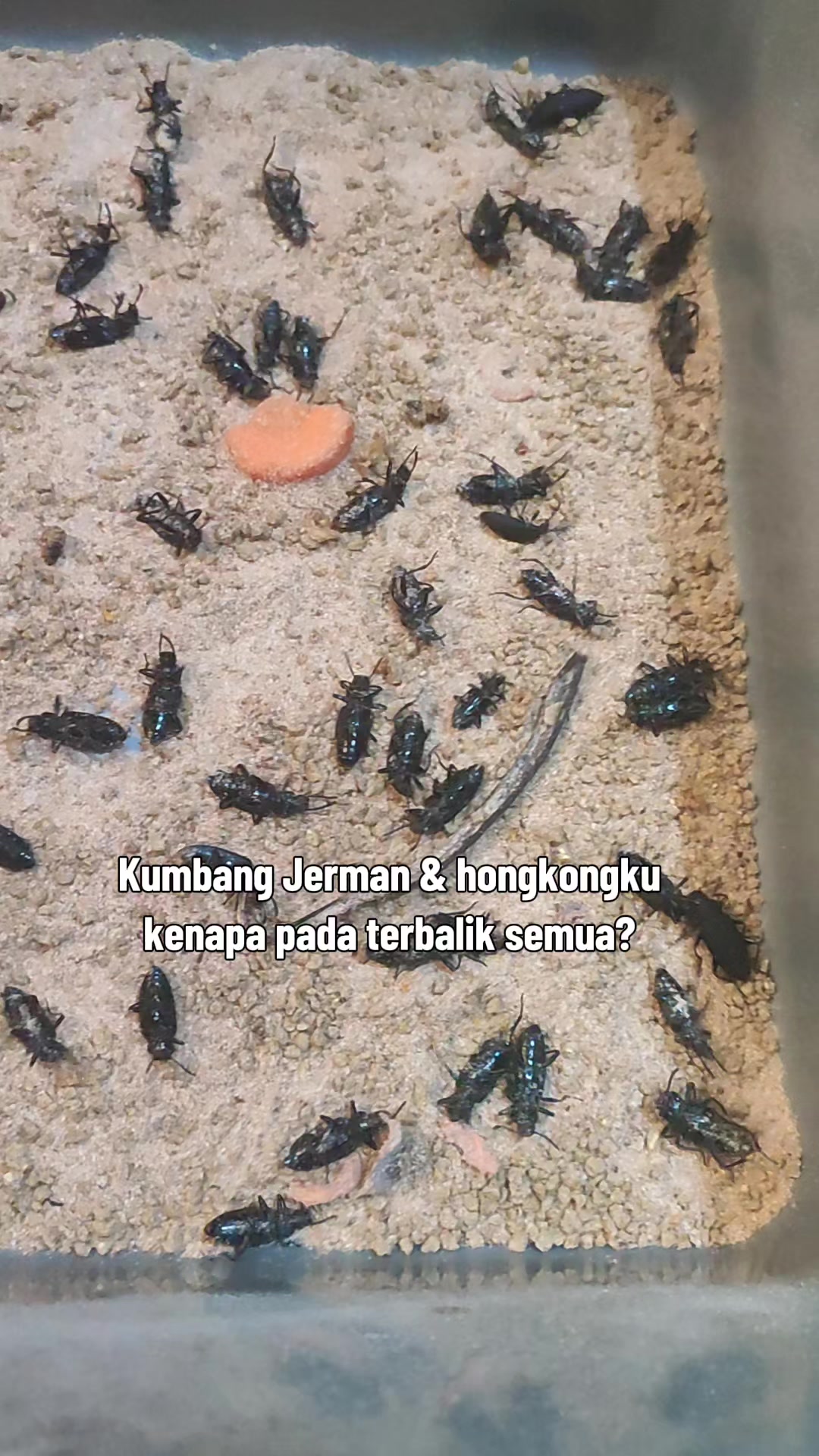 @Nicholas Seah
