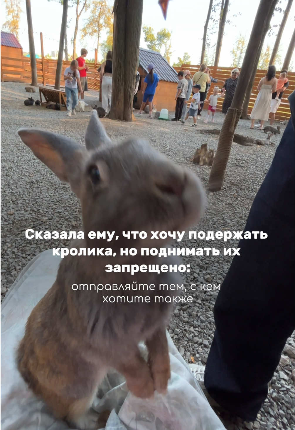 @Тася Карцева