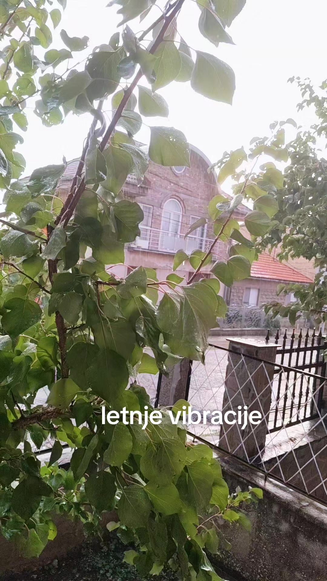 @anja_feher08