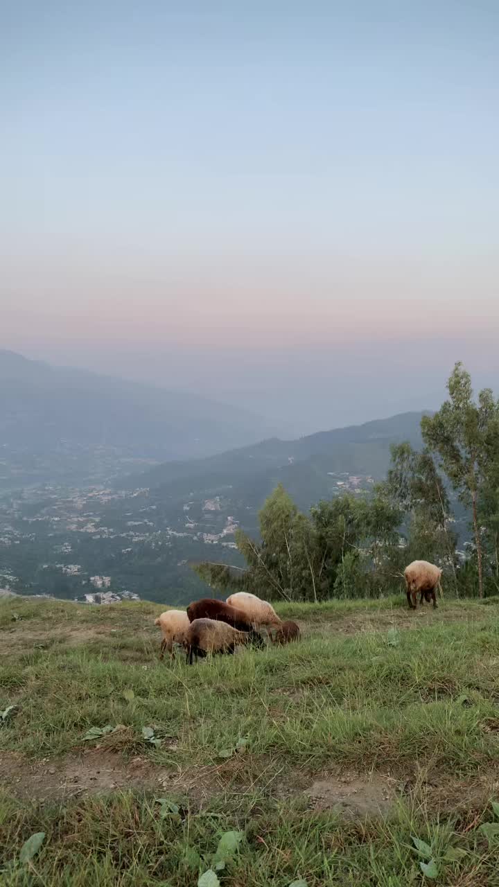 @𝐌𝐞𝐫𝐭🇹🇷