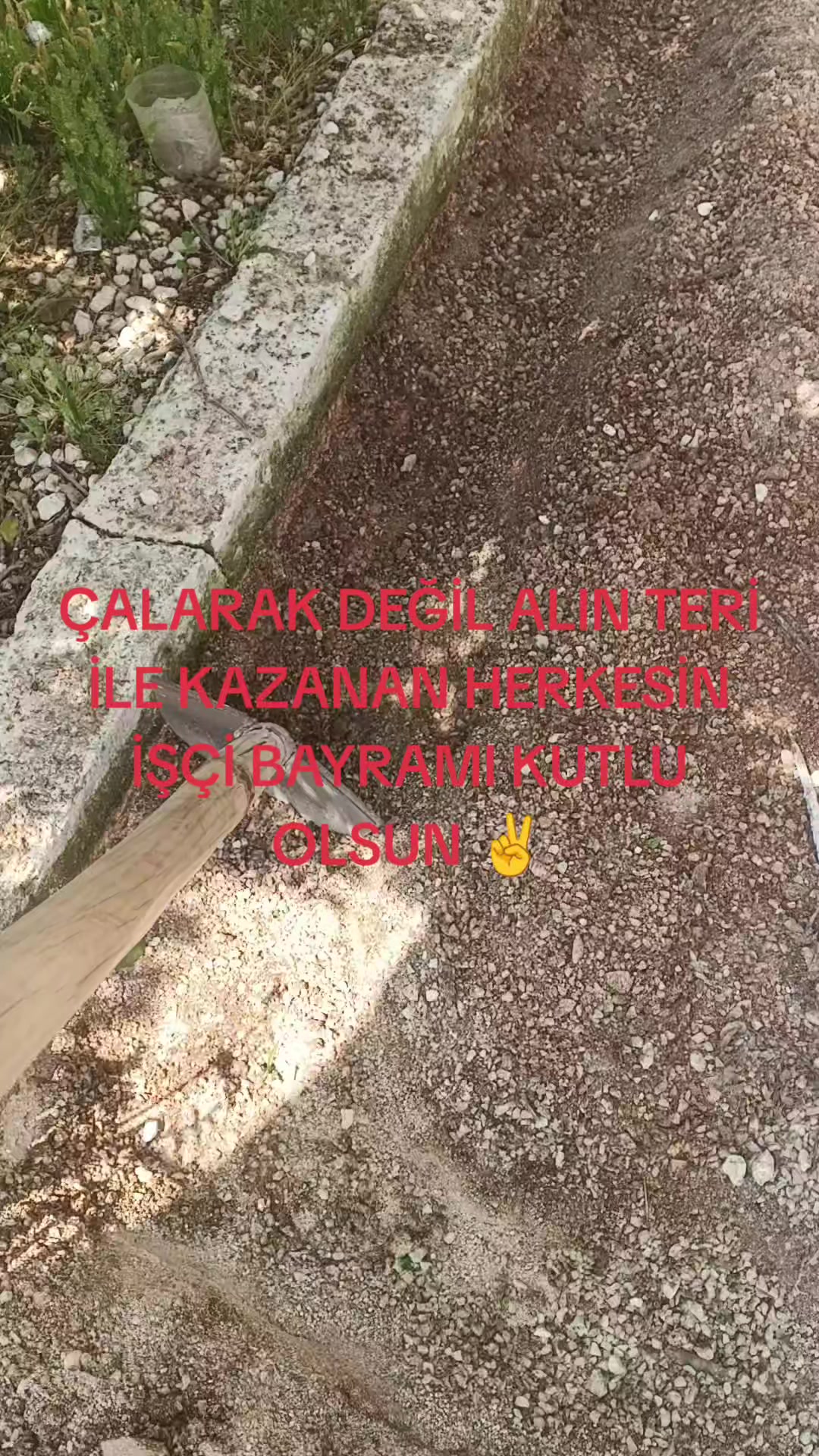 @Selim Altin