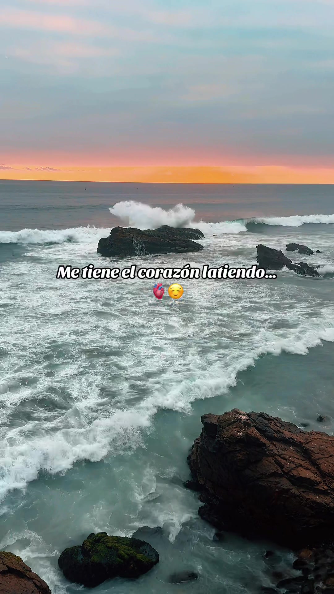 @🌻
