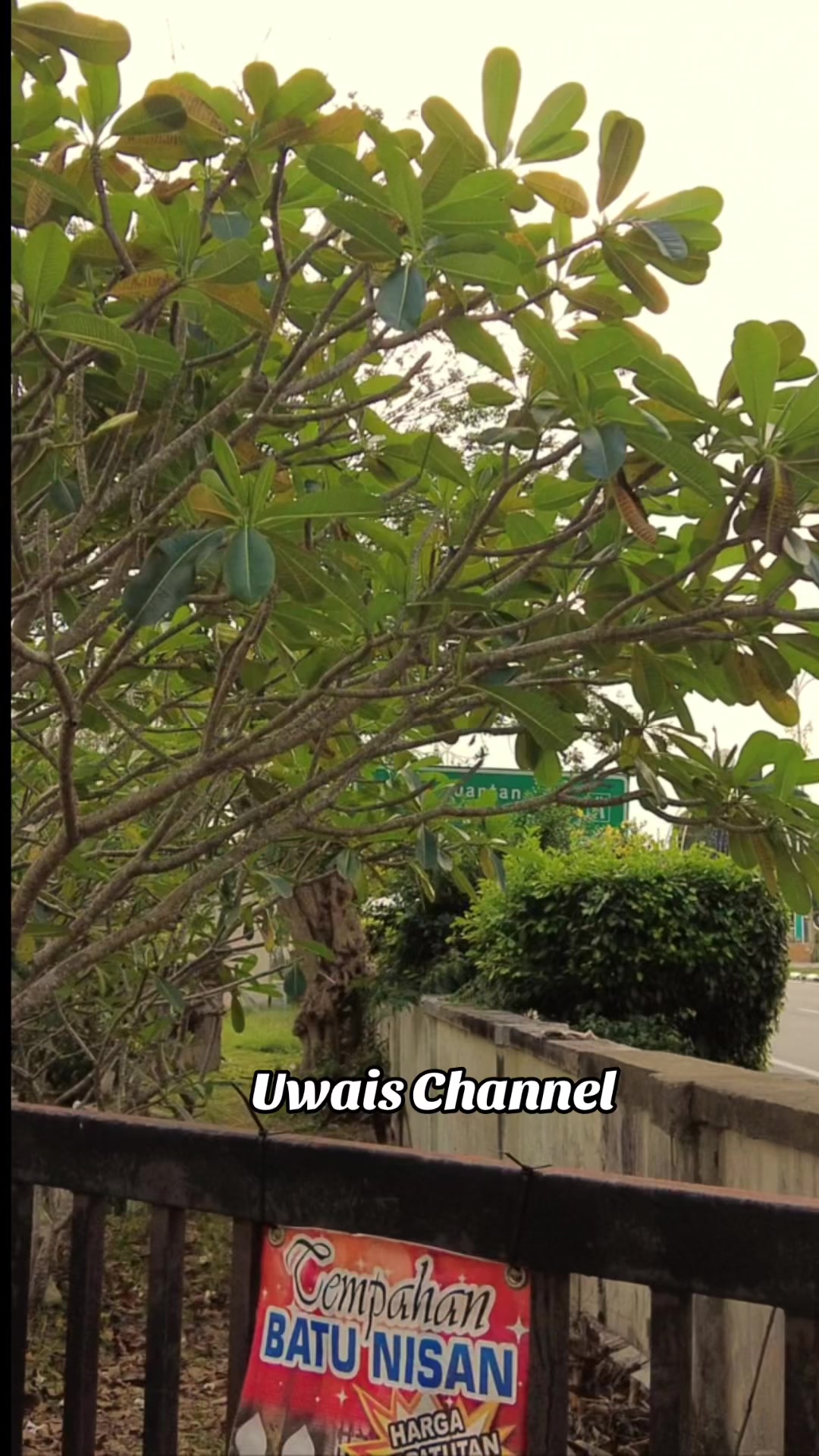 @Uwais Channel