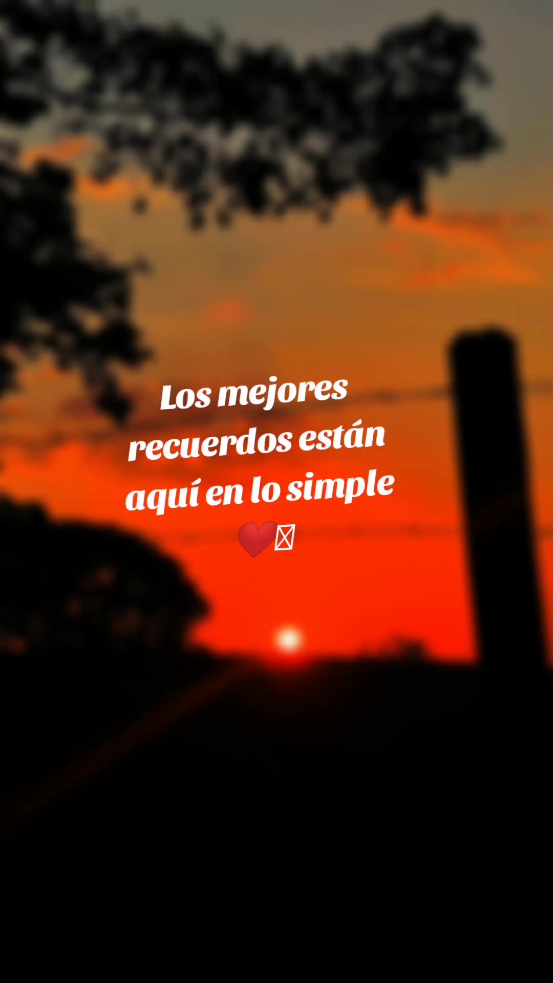 @yari asensio